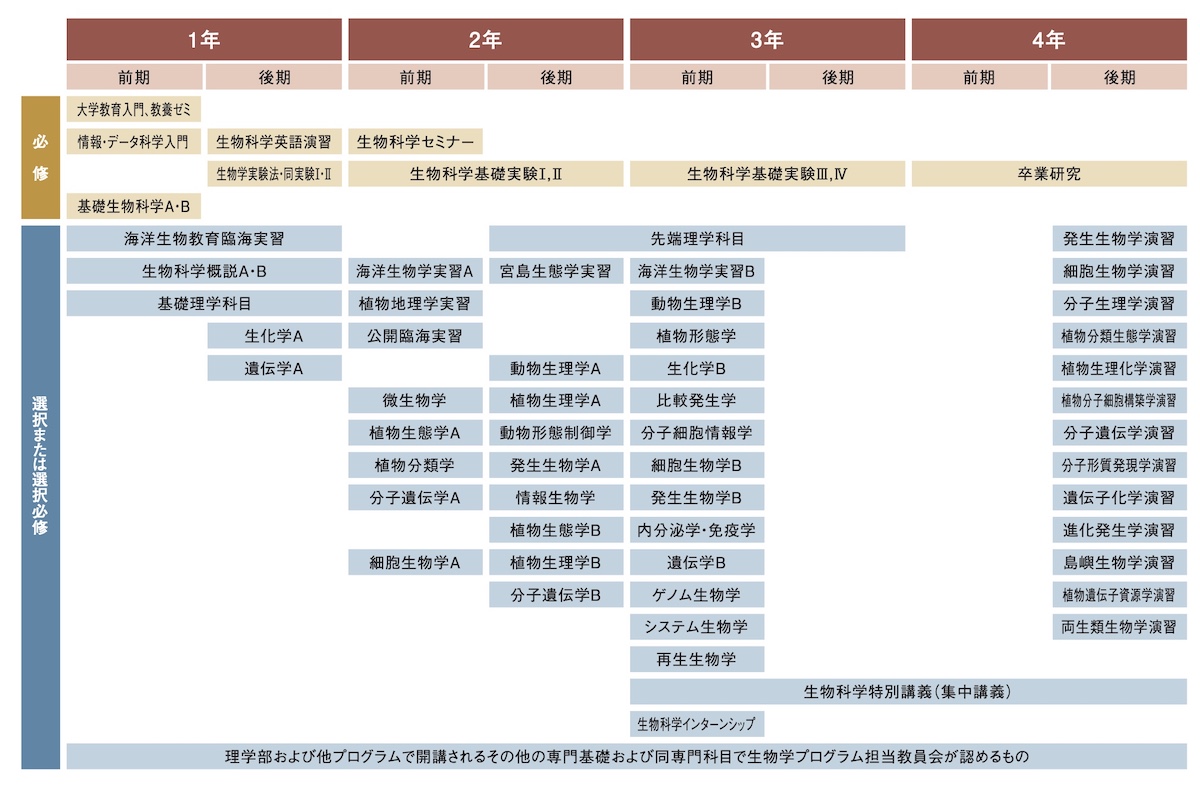 2023curriculum.jpg