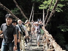 かずら橋