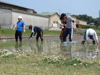 大変な作業です