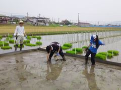 田植え１